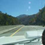 Picture 127
