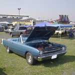 IM002295