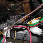 DSCN5878