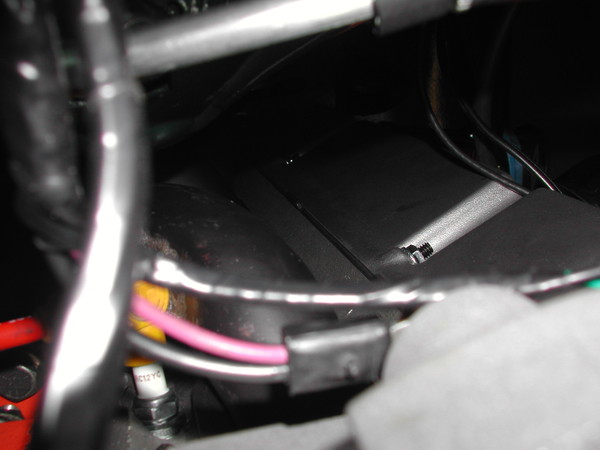 DSCN5979