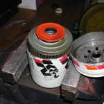 DSCN5981