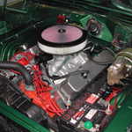 DSCN5997
