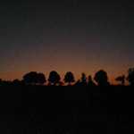 DSCN5542