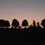 DSCN5543