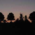 DSCN5544