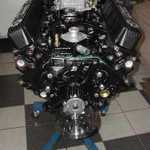 DSCN5568