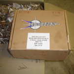 496 kit and cats 029