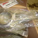 496 kit and cats 032