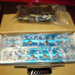 496 kit and cats 042