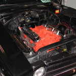 DSCN5635