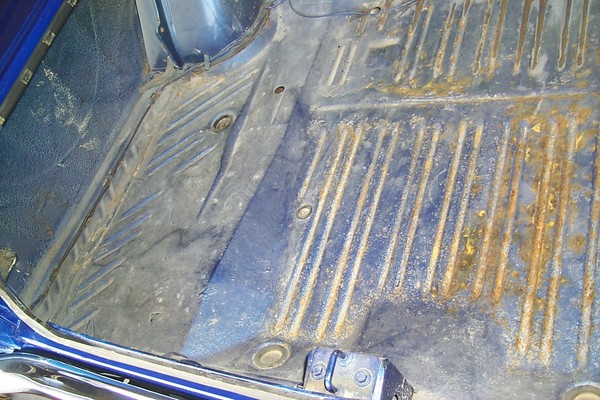 trunk left