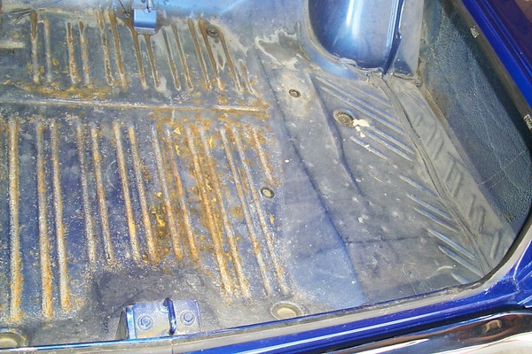 trunk right