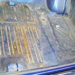 trunk right