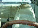 Driver's seat vinyl is better; still needs mildew cleaning