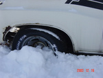 Entire wheel opening needs to be replaced