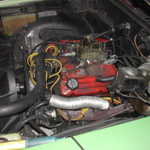 DSCN6209