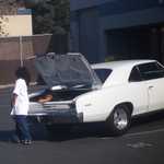 Chevys make good places to take a nap.
