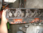 Old Heads 1