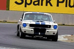 Frank V's 1966 GT 350 Ford Mustang
