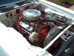 motor and trim 001