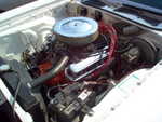motor and trim 002