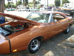 Daytona bronze