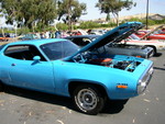 Nice roadrunner