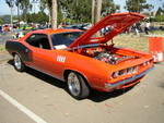 Orange cuda