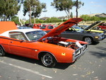 Rick Bishop's Bee