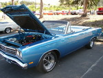 Roadrunner vert