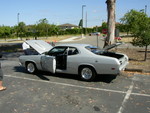 Sweet duster