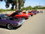 row of e-bodies
