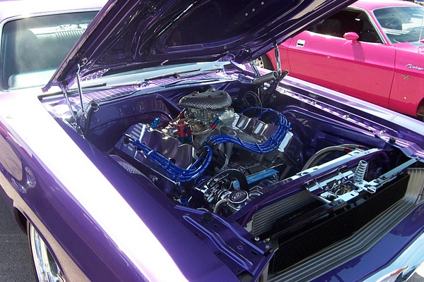 DCP 1667 0001