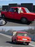 Horse in a car