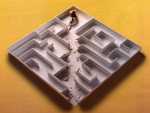 Rat maze