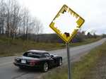 Viper road signs