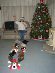 Deanna xmas