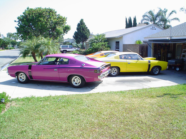 Magenta, Yellow, Orange
