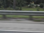 DSCN4366