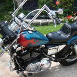 Picture 110