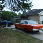Picture 114