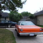 Picture 115
