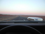 vegas018
