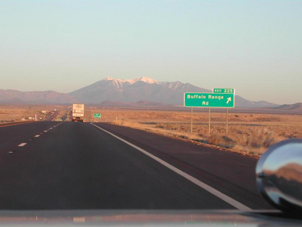 vegas020