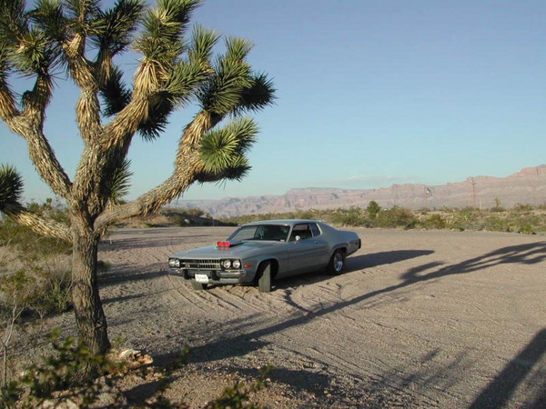 vegas156