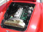 DSCN5906