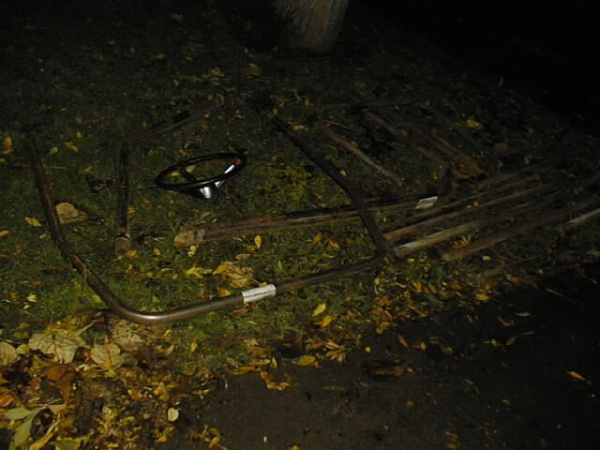 IMAGE016