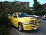 Joe's Rumble Bee