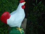The infamous watchdog chicken.
