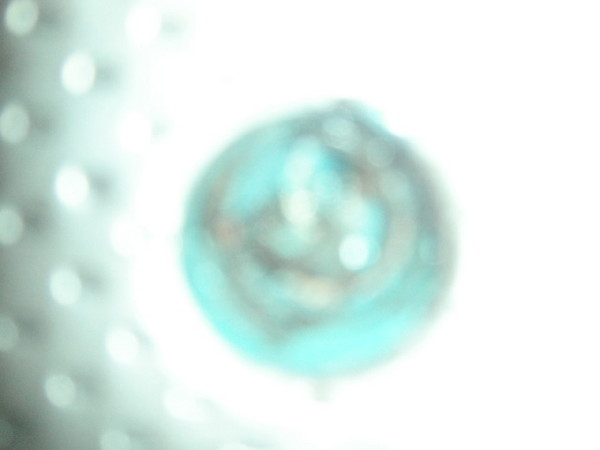 KIF 0770